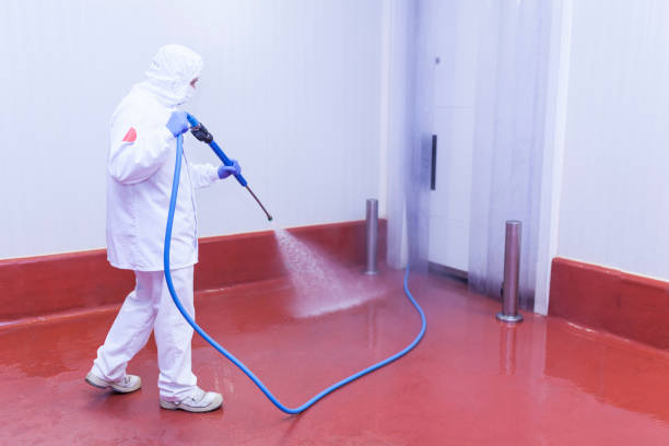  Frankfort, IN Pressure Washing Pros