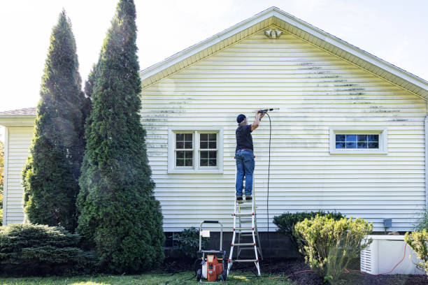 Best House Exterior Washing  in Frankfort, IN
